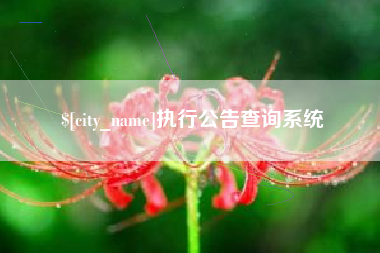 吉林执行公告查询系统