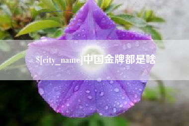 吉林中国金牌都是啥