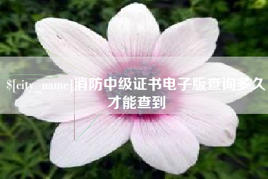 吉林消防中级证书电子版查询多久才能查到