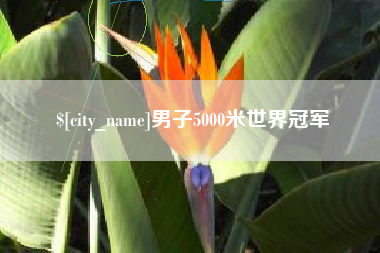 吉林男子5000米世界冠军