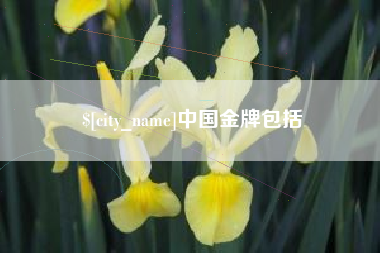 吉林中国金牌包括
