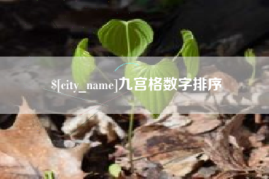 吉林九宫格数字排序