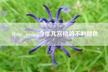 吉林今年九宫格的不利颜色