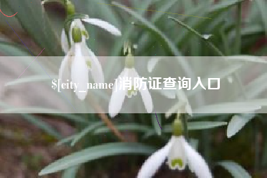 吉林消防证查询入口