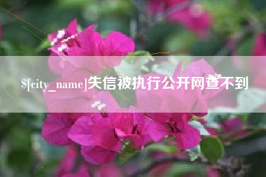 吉林失信被执行公开网查不到