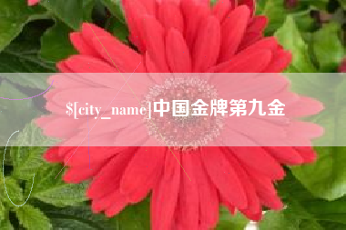 吉林中国金牌第九金
