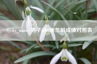 吉林男子5000米年龄成绩对照表