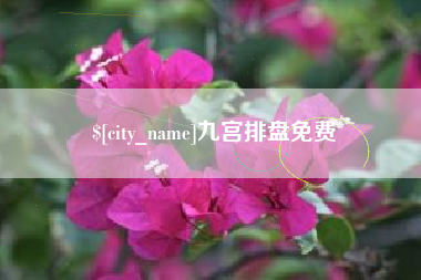 吉林九宫排盘免费