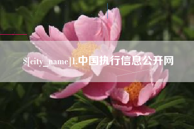 吉林1.中国执行信息公开网