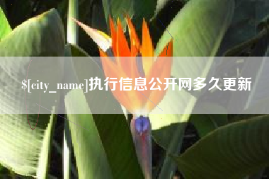 吉林执行信息公开网多久更新