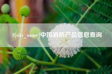 吉林中国消防产品信息查询