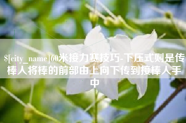 吉林60米接力赛技巧-下压式则是传棒人将棒的前部由上向下传到接棒人手中