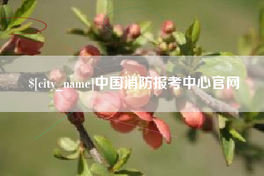 吉林中国消防报考中心官网