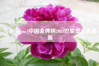 吉林中国金牌榜2024巴黎奥运会最新