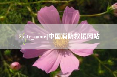 吉林中国消防救援网站