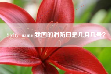 吉林我国的消防日是几月几号？