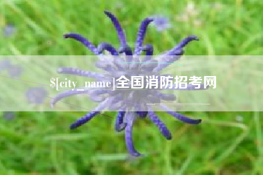 吉林全国消防招考网