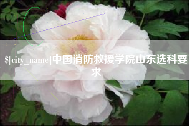 吉林中国消防救援学院山东选科要求
