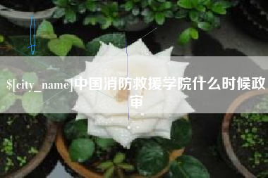 吉林中国消防救援学院什么时候政审