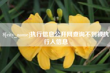 吉林执行信息公开网查询不到被执行人信息