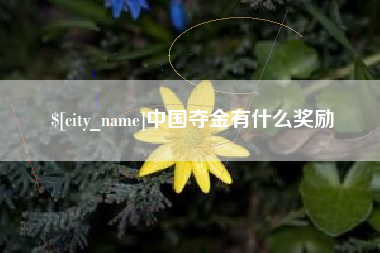 吉林中国夺金有什么奖励