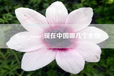 吉林现在中国哪几个金牌