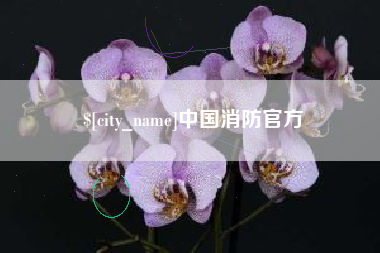 吉林中国消防官方