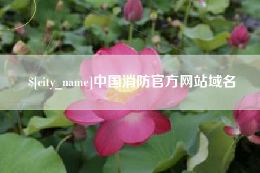 吉林中国消防官方网站域名