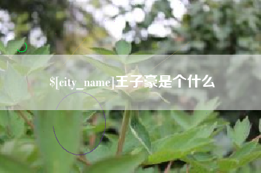 吉林王子豪是个什么