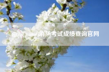 吉林消防考试成绩查询官网