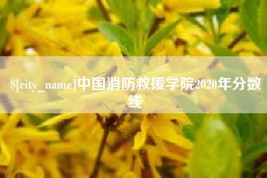 吉林中国消防救援学院2020年分数线