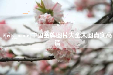吉林中国金牌图片大全大图真实高清