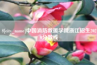 吉林中国消防救援学院浙江招生2020分数线