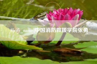 吉林中国消防救援学院张勇