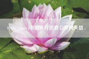 吉林中国执行信息公开网失信