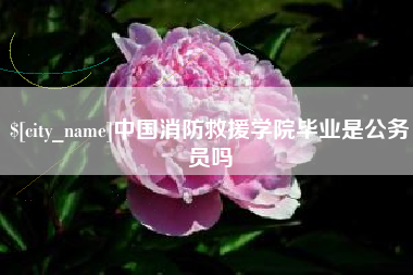 吉林中国消防救援学院毕业是公务员吗