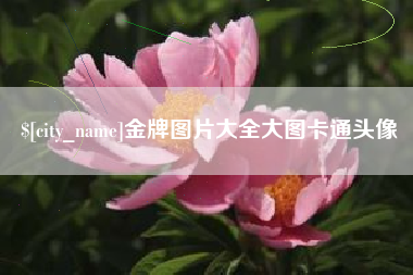 吉林金牌图片大全大图卡通头像