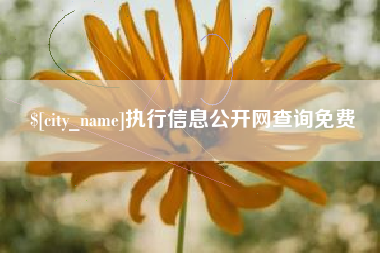 吉林执行信息公开网查询免费