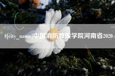 吉林中国消防救援学院河南省2020